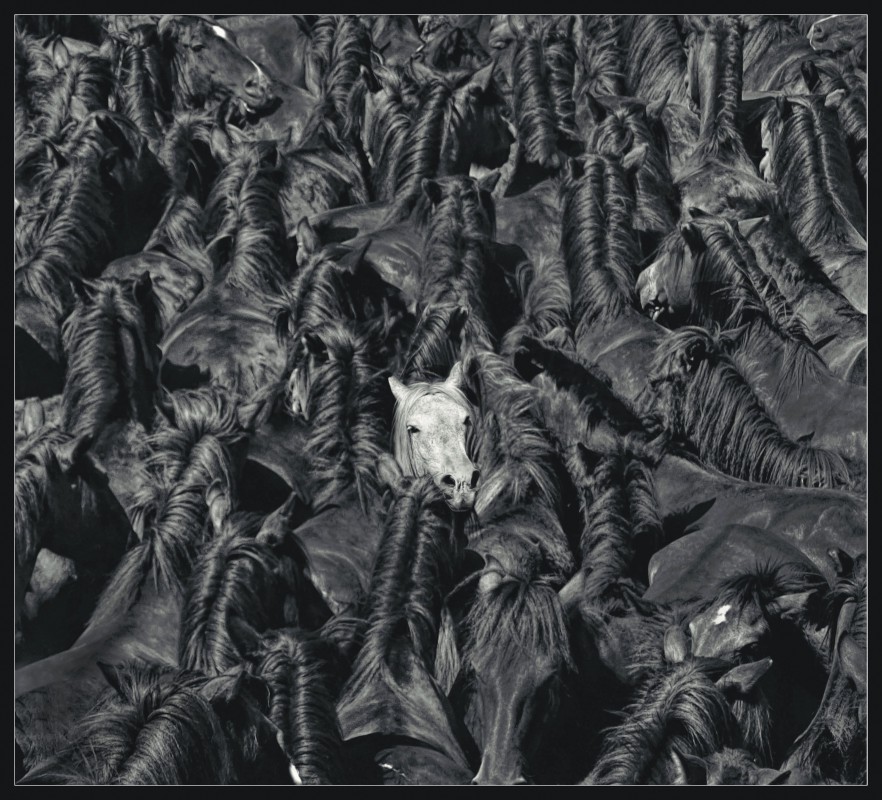 Bot&oacute;n para ir a contacto