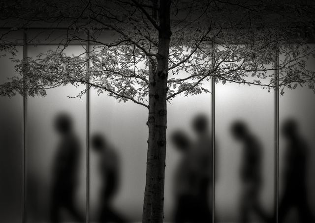 Fotografía de Diego Pedra Benzal
