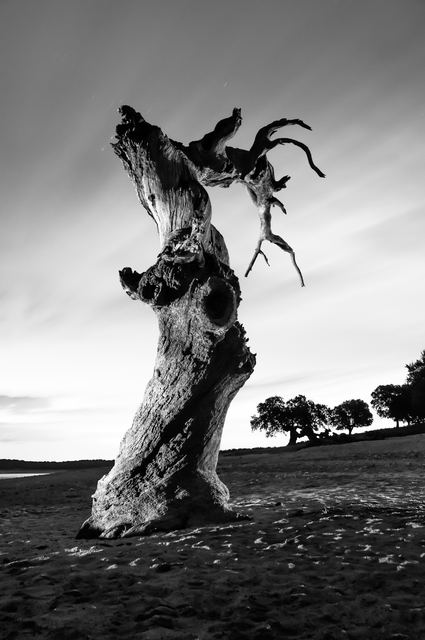 Fotografía de Juan Pablo Resino Rubio