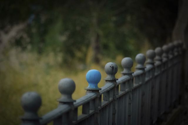 Fotografía de Jesús Mª Oliva Cabello