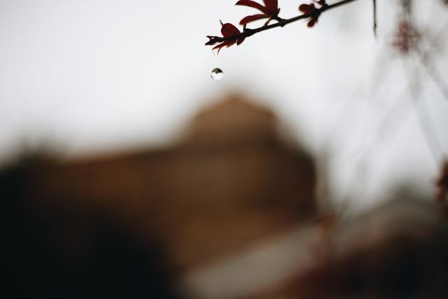 Fotografía de Laura Asensio Rincón