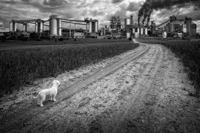 Fotografía finalista del Certamen 2020