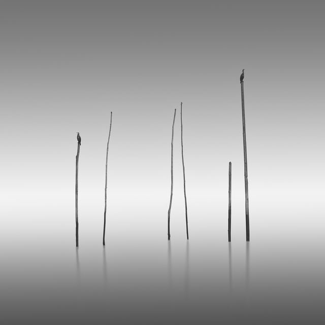 Fotografía de Miguel Cabezas