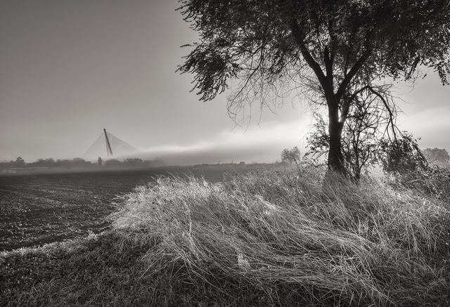 Fotografía de Ricardo González Gascón