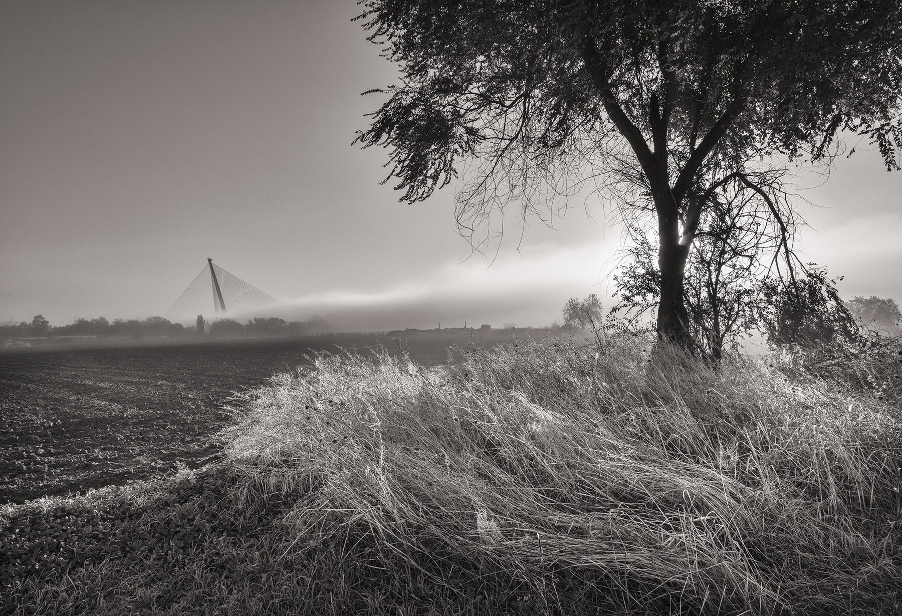 Fotografía de Ricardo González Gascón