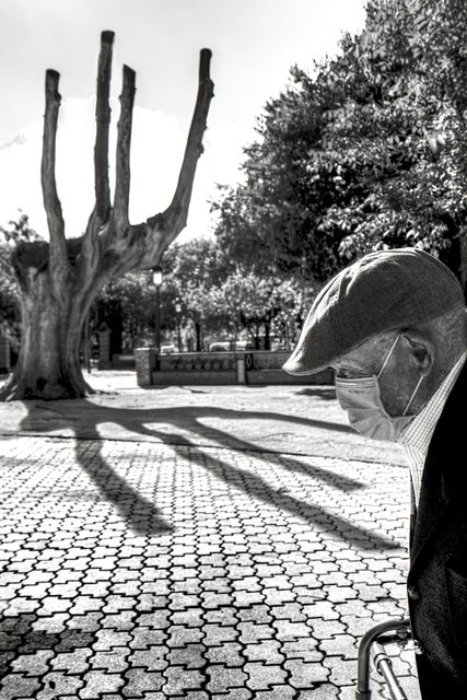 Fotografía seleccionada del Maratón 2020