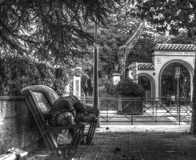 Fotografía seleccionada del Maratón 2020