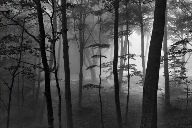 Fotografía de Gabriel Brau Gelabert