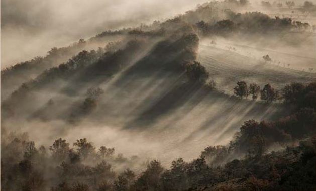 Fotografía de Jesús Puigmartí Sánchez