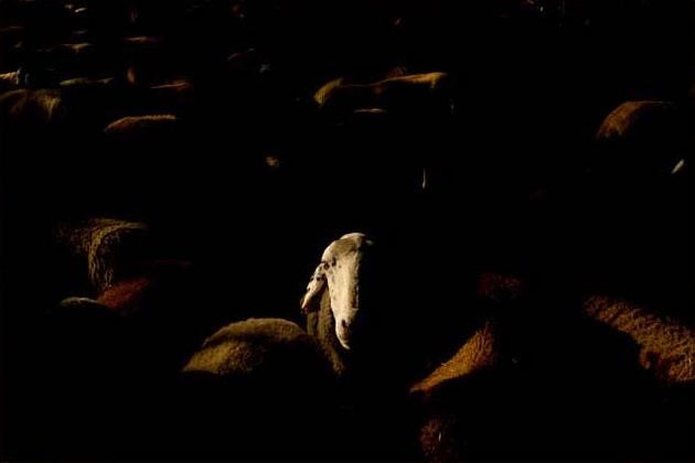 Fotografía de Gerardo Alonso Suárez
