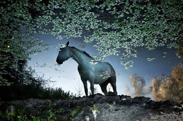 Fotografía de Jaime Charles Bernis