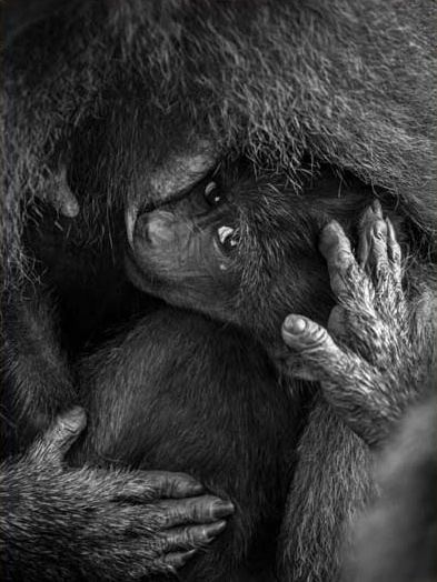 Fotografía de Mike Pérez Rodríguez