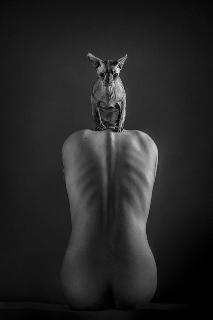 Fotografía de Valeria Bárbara Barriera Cassina