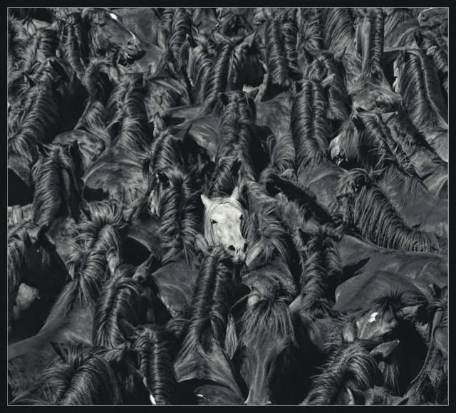 Fotografía de Salvador Linares Fernández