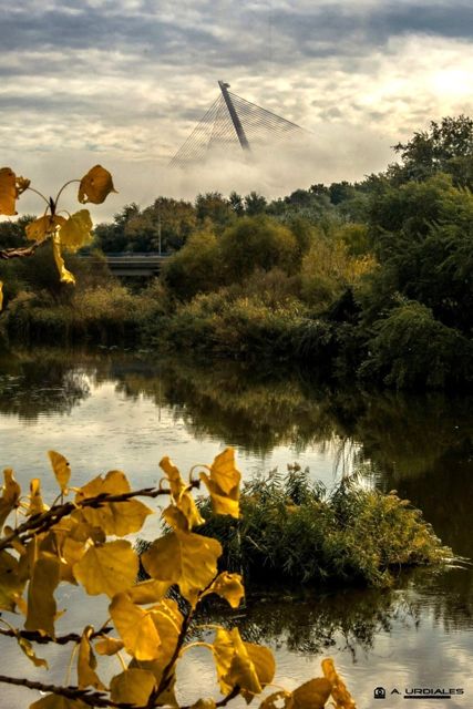 Río Tajo en otoño con el puente atirantado entre la niebla